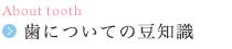 歯についての豆知識